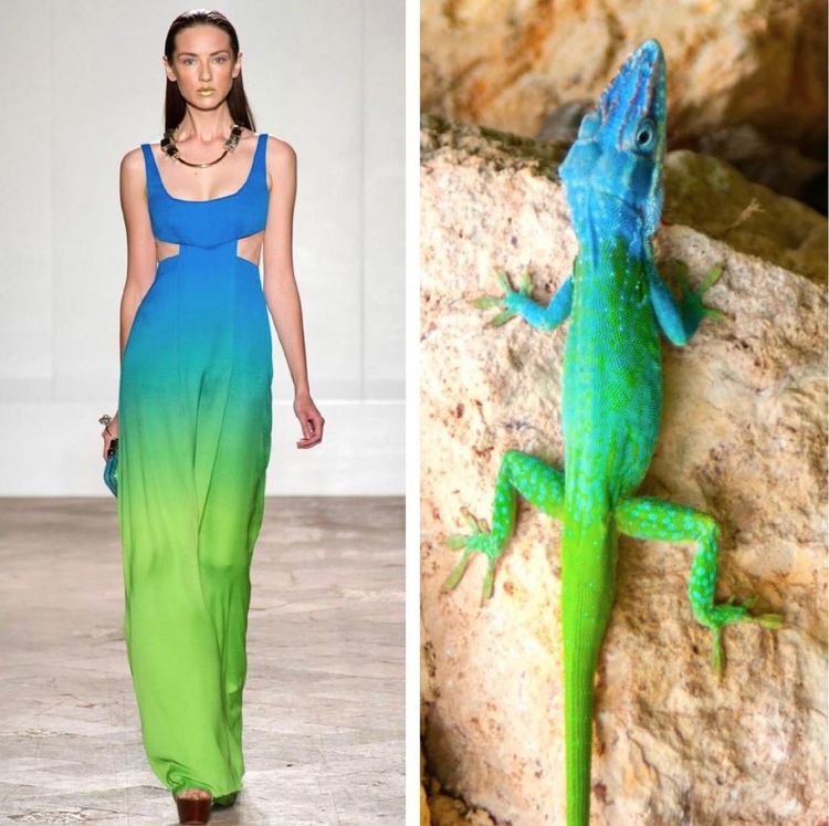 image-20221024212011-7