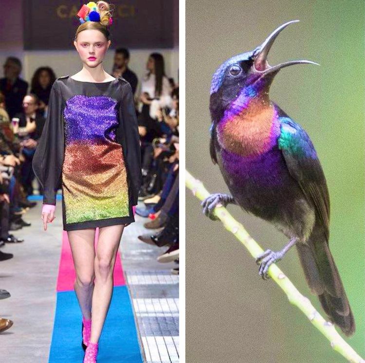 image-20221024212014-8