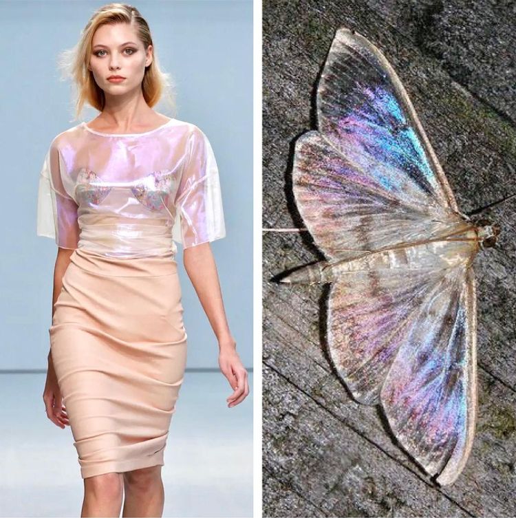 image-20221024212018-9