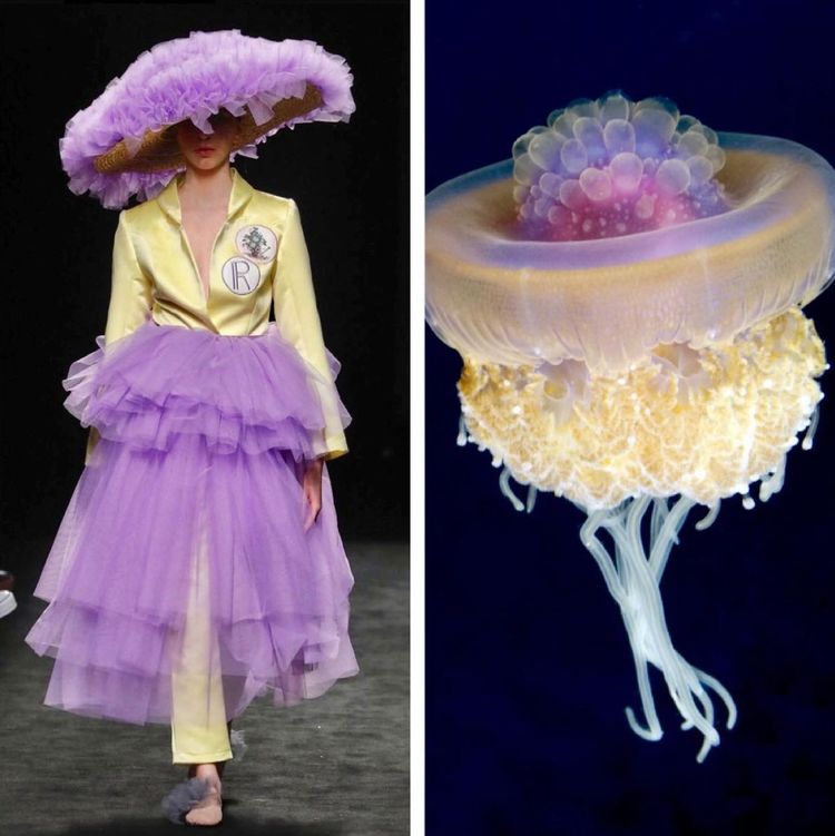 image-20221024212020-10