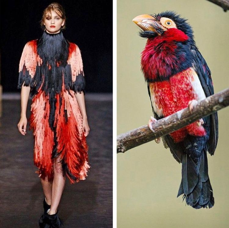 image-20221024212033-11