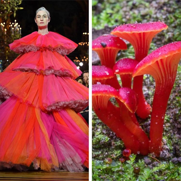 image-20221024212111-13