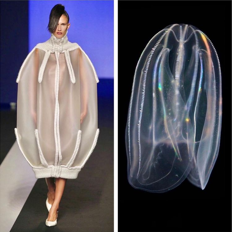 image-20221024212114-14