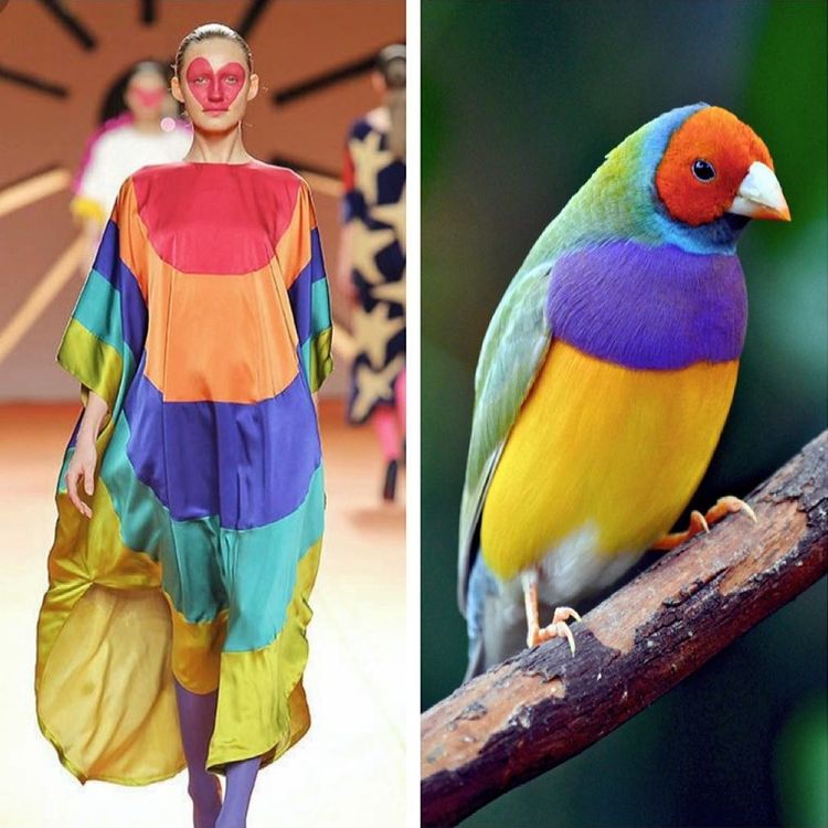 image-20221024212123-17