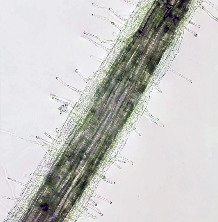 image-20221025142150-4