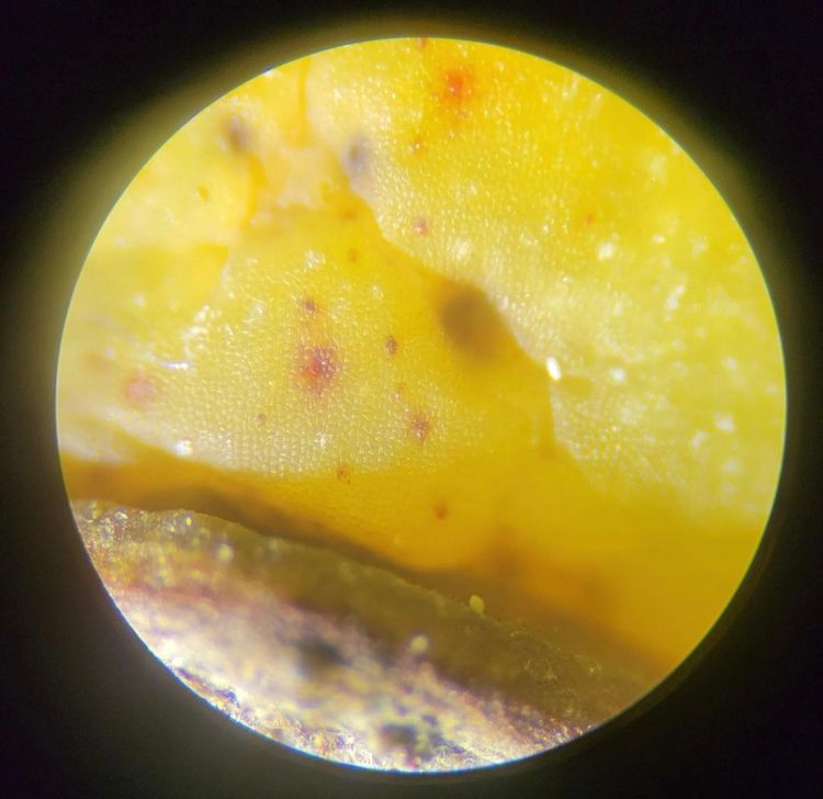 image-20221025142154-5