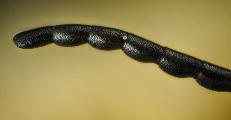 image-20221025142157-6