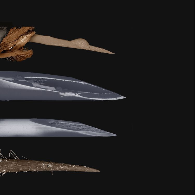 image-20221025142203-8