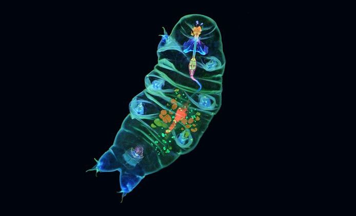 image-20221025142206-9