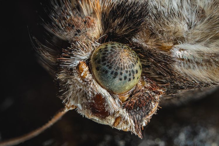 image-20221025142246-14