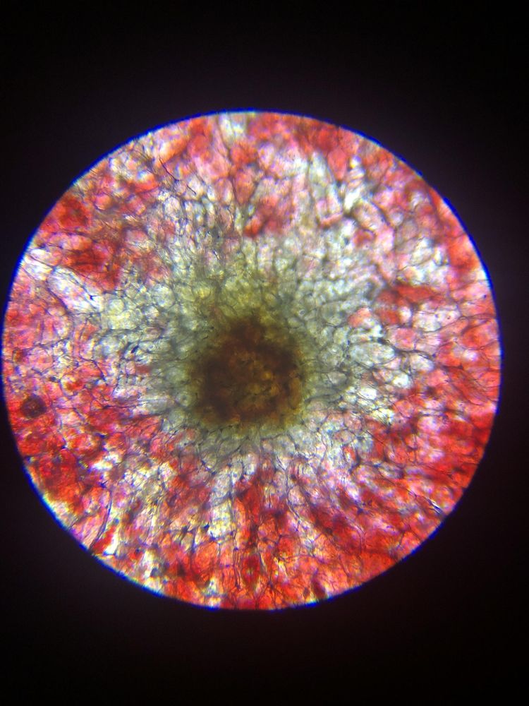 image-20221025142254-17