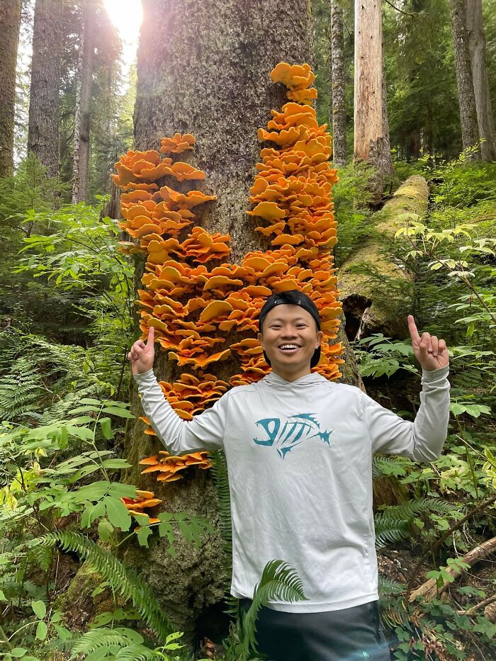 image-20221025191218-7