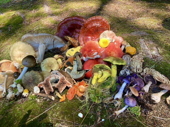 image-20221025191319-16