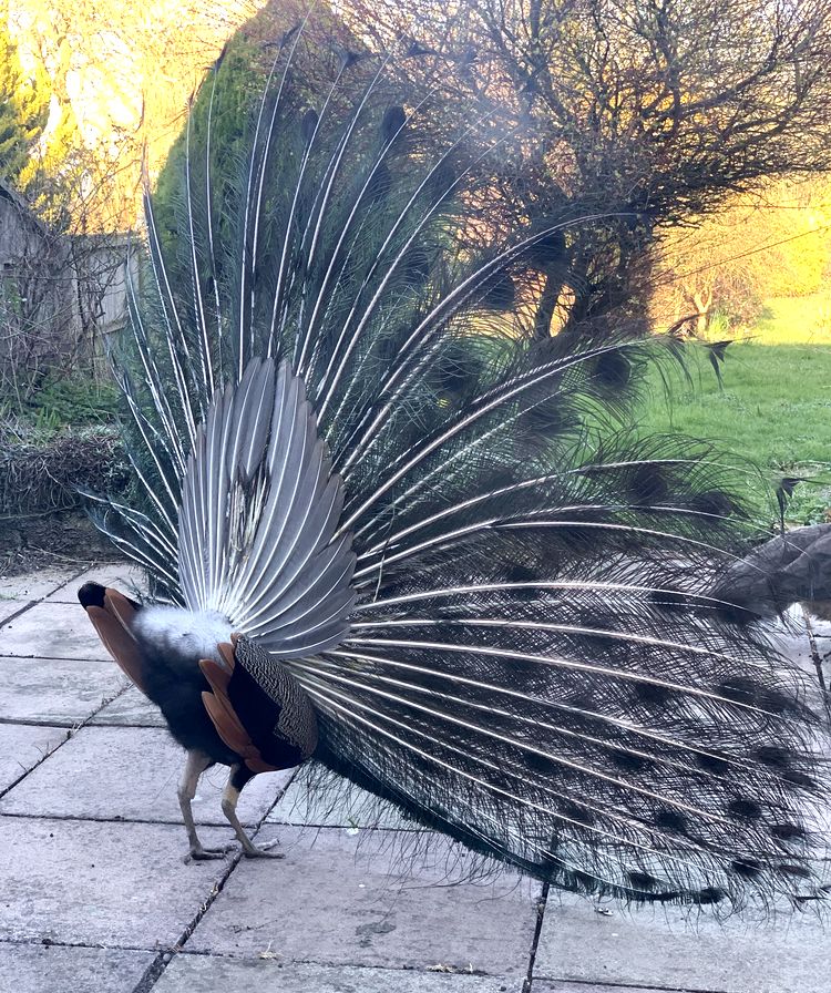 image-20221026142516-4