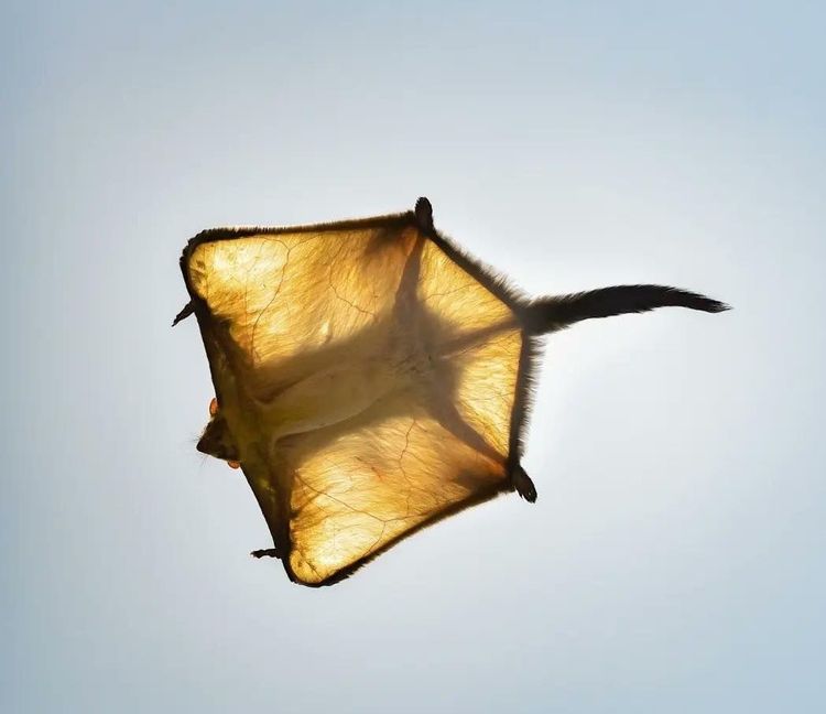 image-20221026142519-5