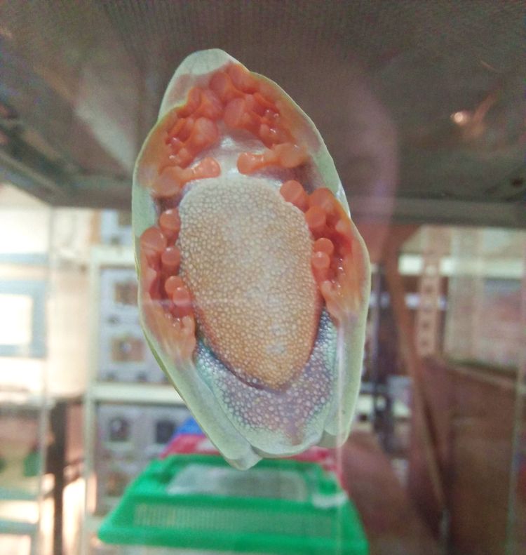 image-20221026142537-9