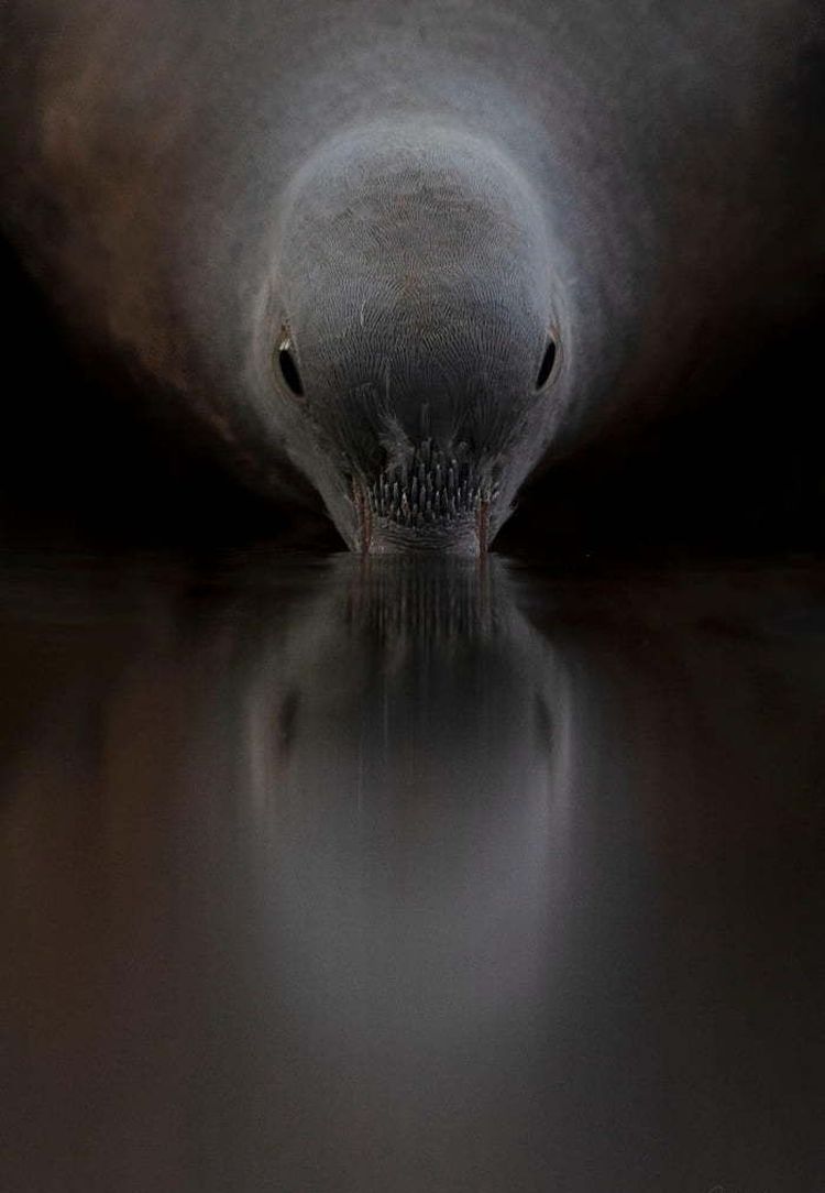 image-20221026143227-17