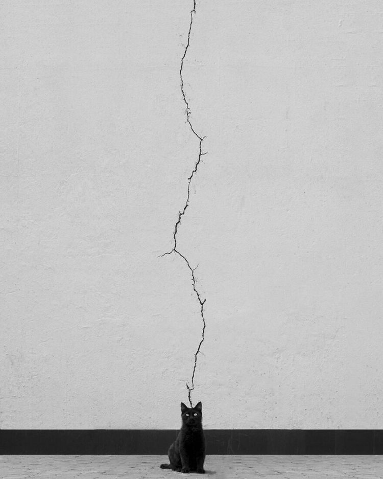 image-20221026171550-1