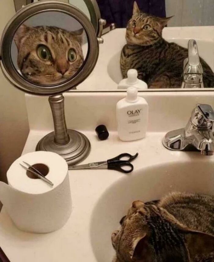 image-20221026193656-4