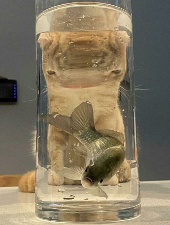 image-20221026193712-9