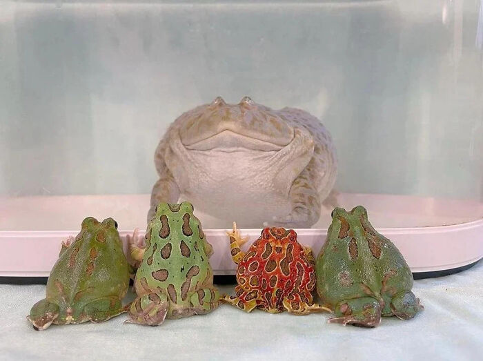 image-20221026193716-10