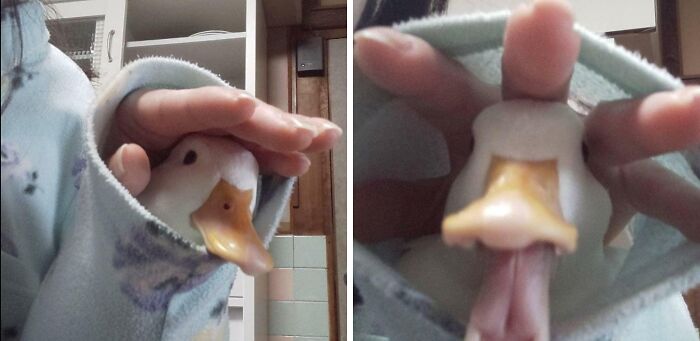 image-20221026193731-15