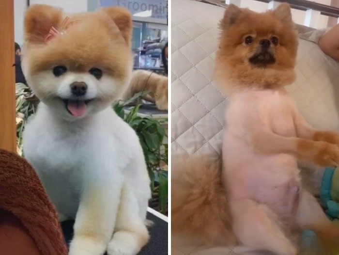 image-20221027133306-8