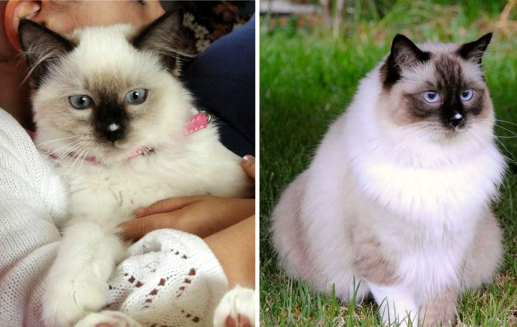 image-20221027172203-1