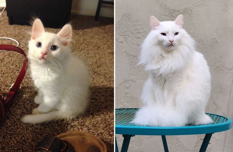 image-20221027172208-3