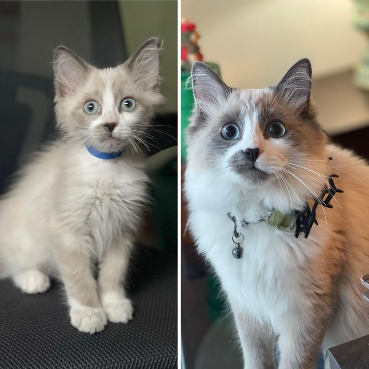 image-20221027172247-5