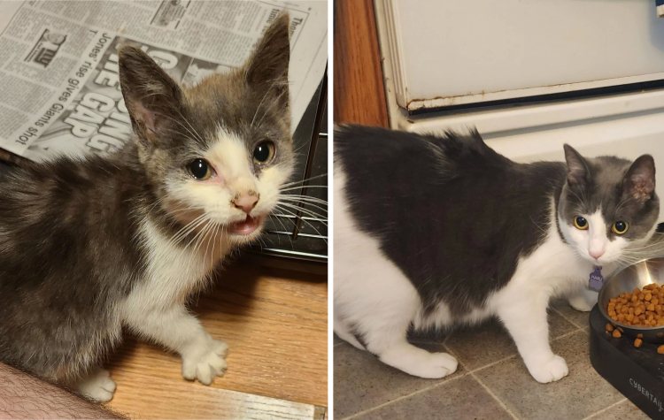 image-20221027172318-9