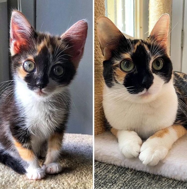 image-20221027172323-11