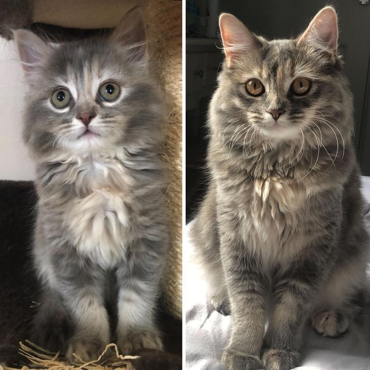 image-20221027172329-13