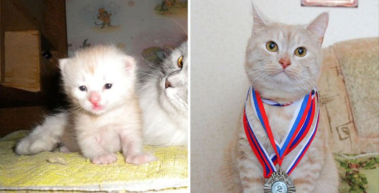 image-20221027172332-14