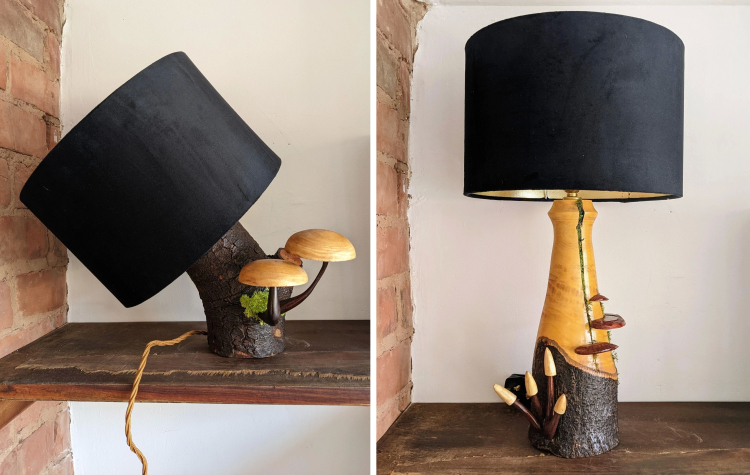 image-20221027202515-5