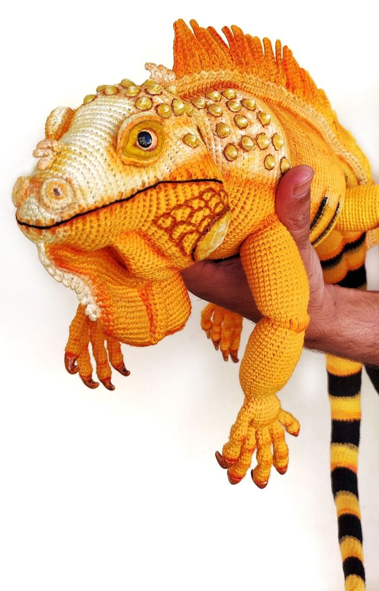 image-20221027202518-6