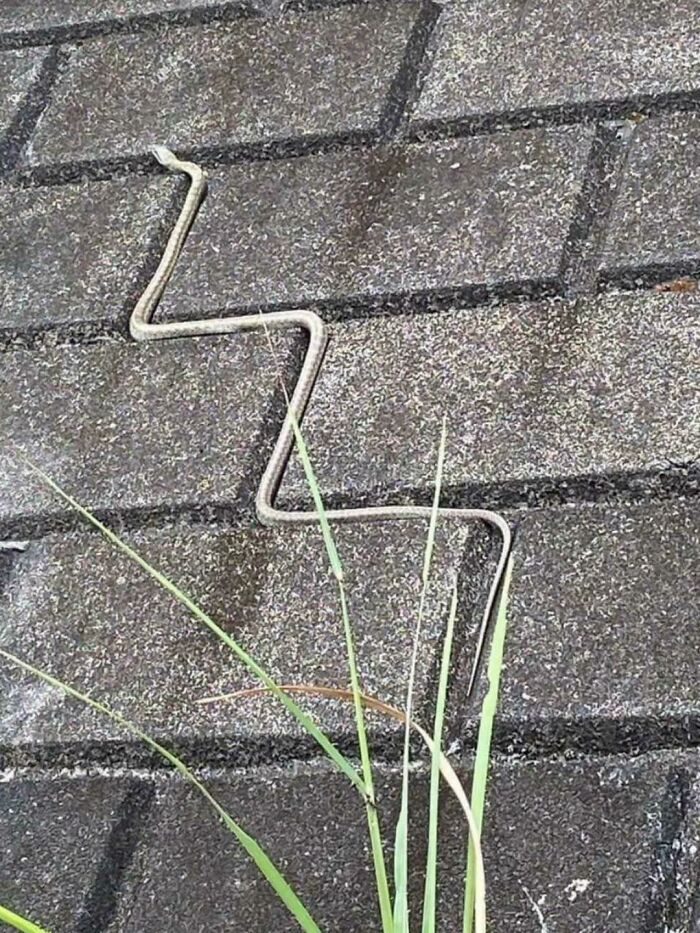 image-20221031121759-9