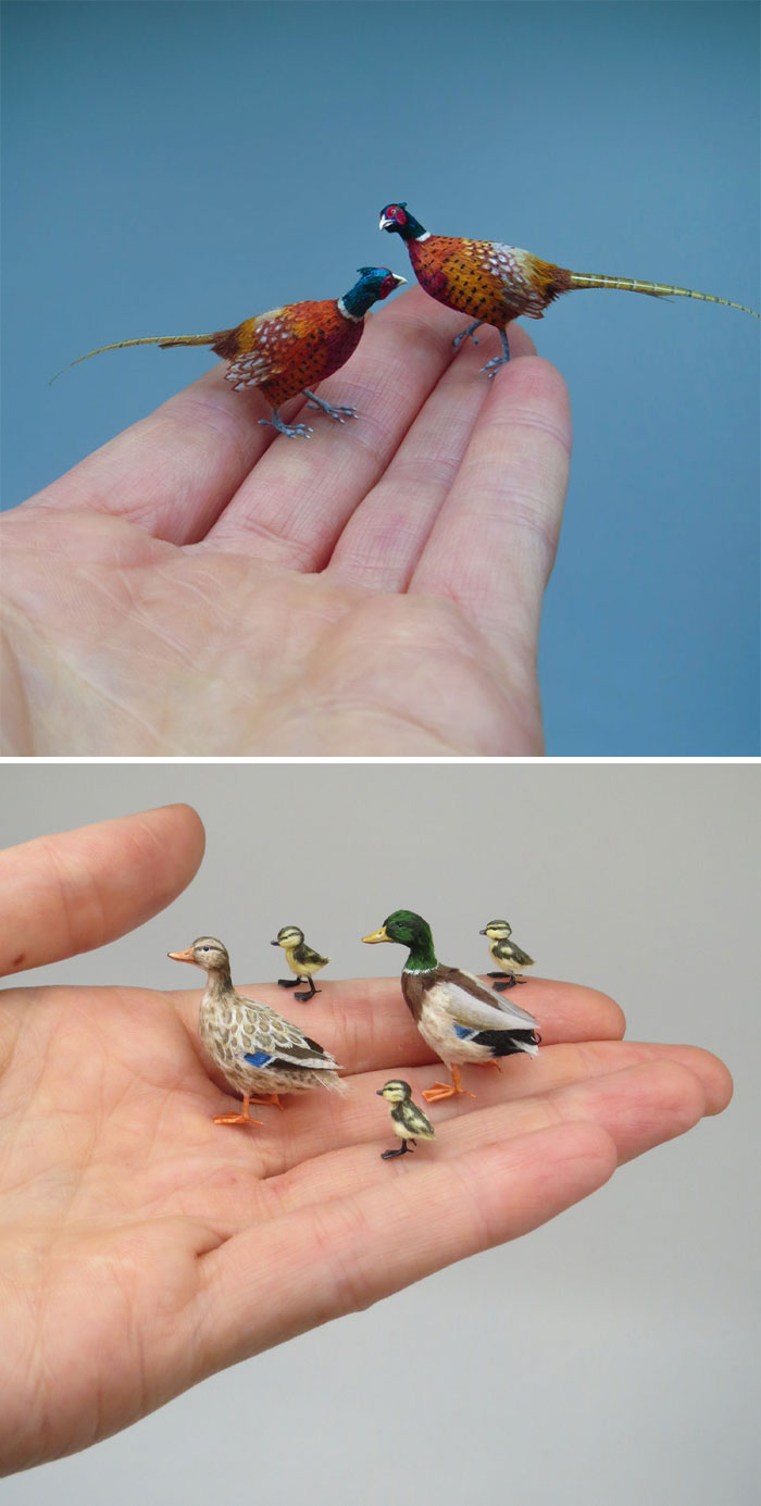 image-20221031134234-5