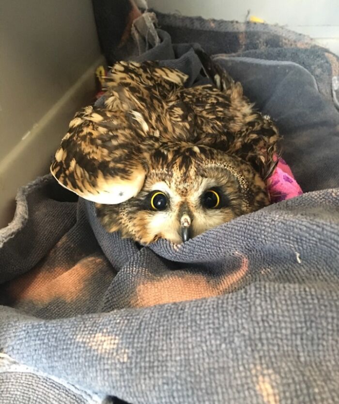 image-20221101123301-3