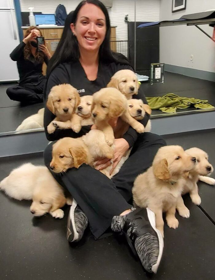 image-20221101123304-4