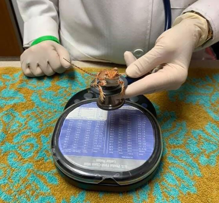 image-20221101123309-5