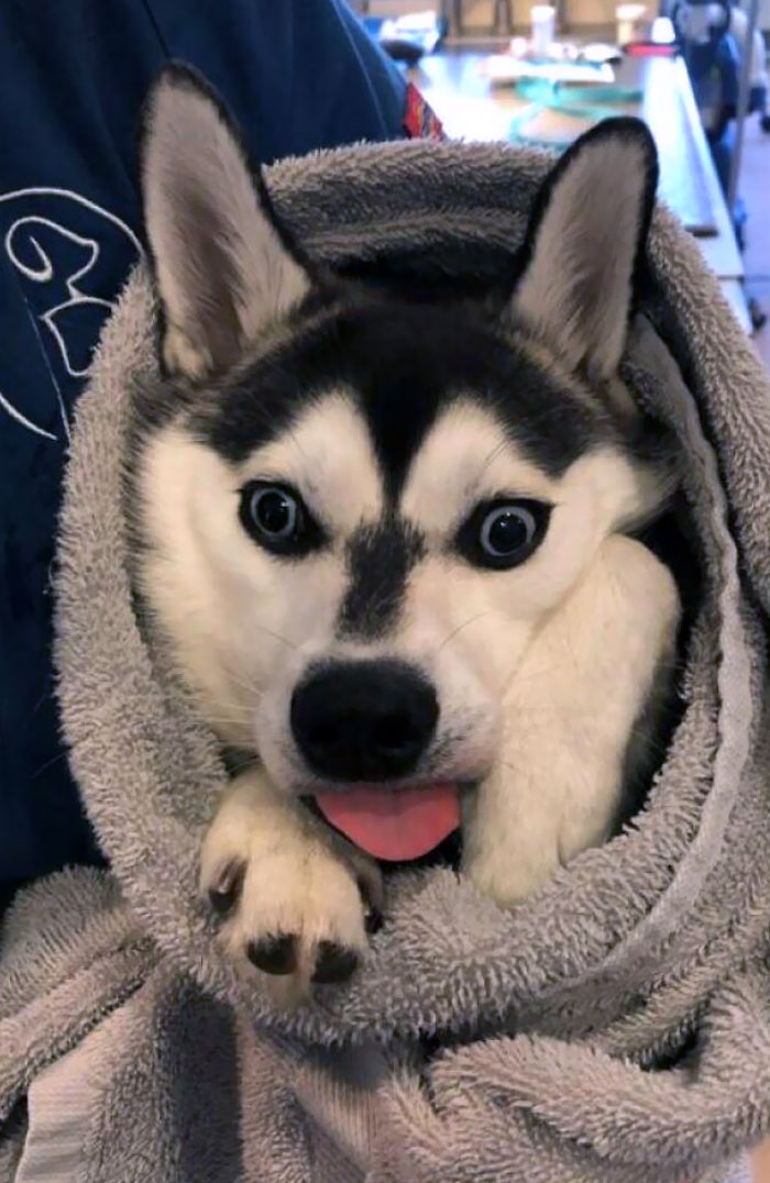 image-20221101123411-15