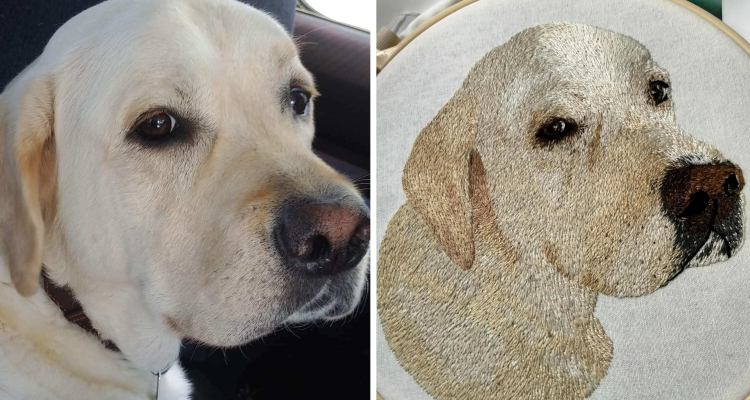 image-20221102121645-10