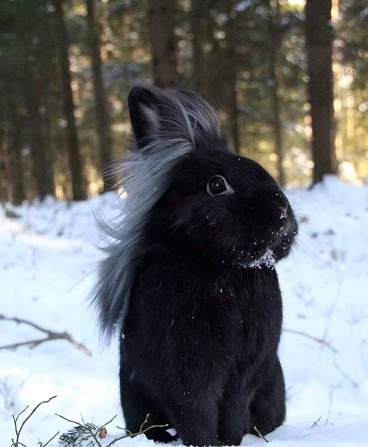 image-20221103163452-2