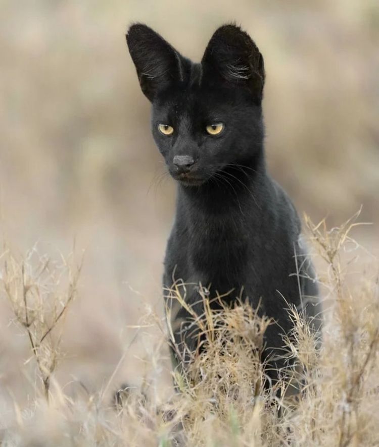 image-20221103163508-6