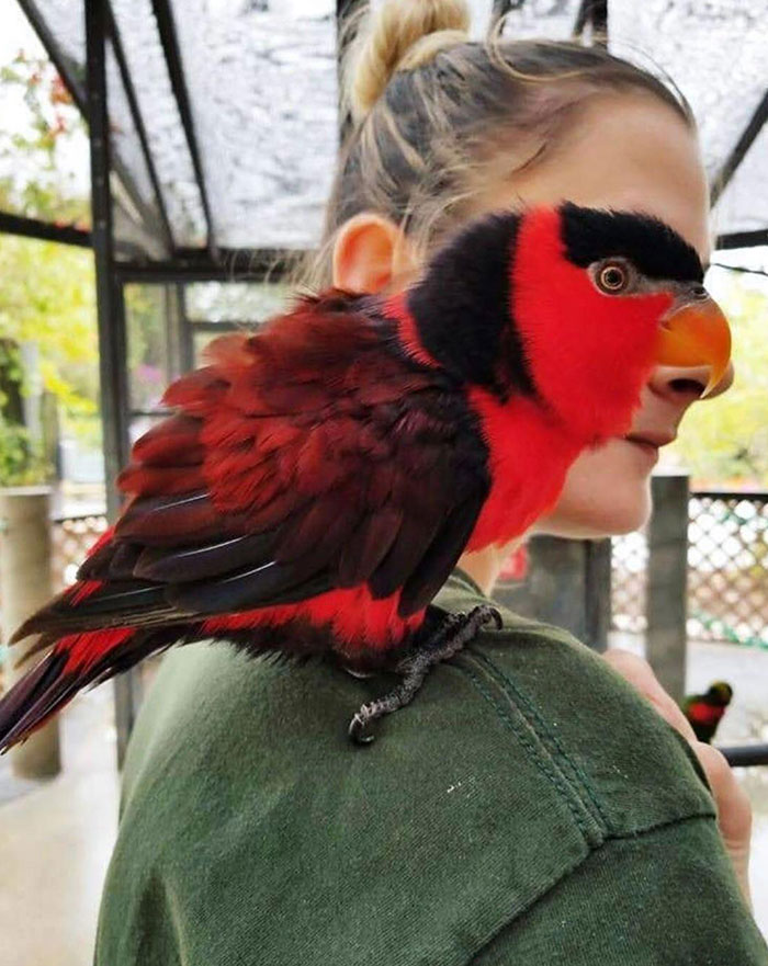 image-20221108190756-5