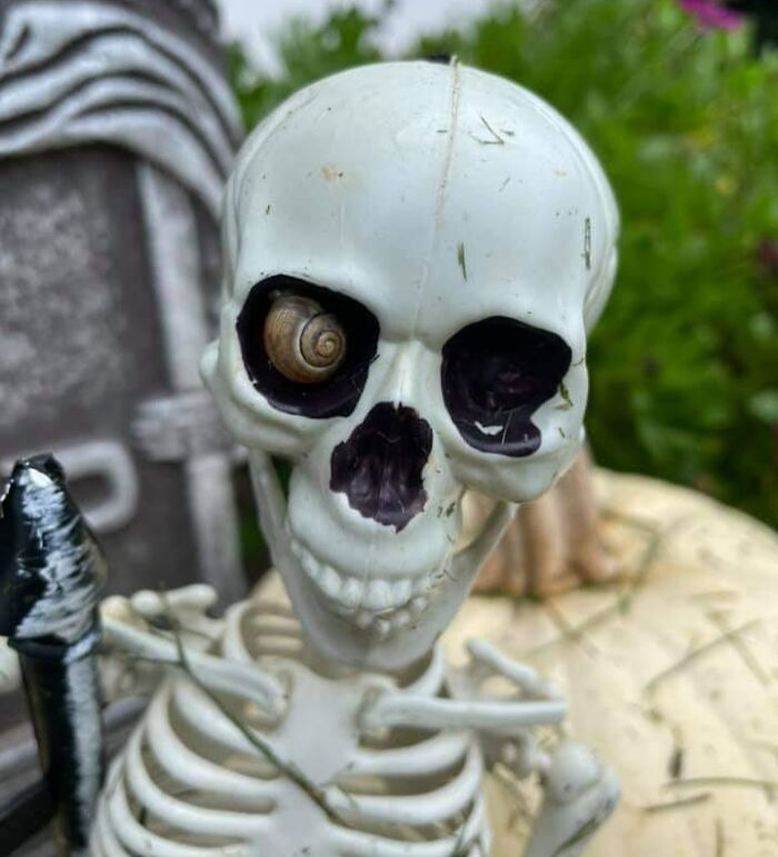 image-20221108190830-12