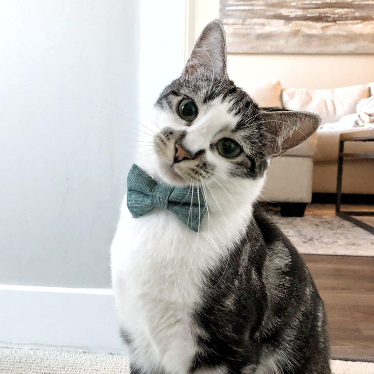 image-20221109133414-2