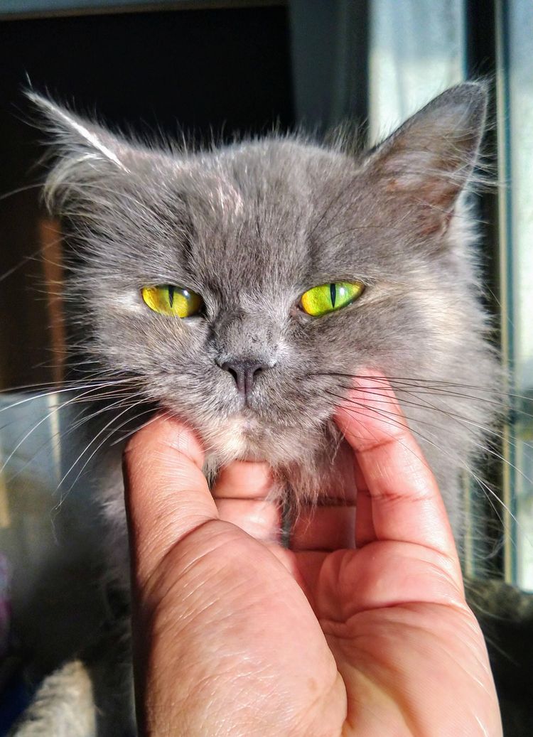 image-20221109133418-3