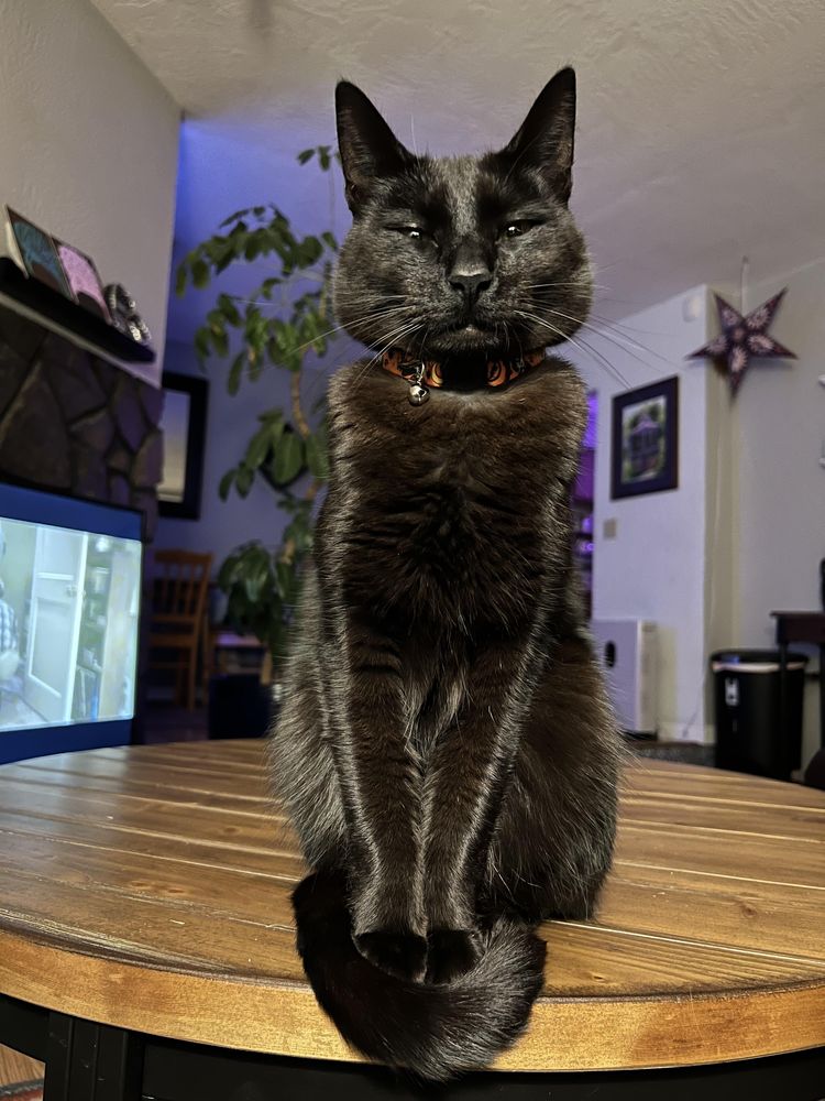 image-20221109133443-7